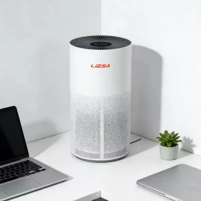 Auto Mode Air Purifier